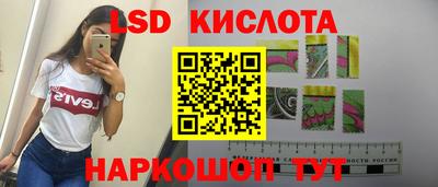 винт Можга