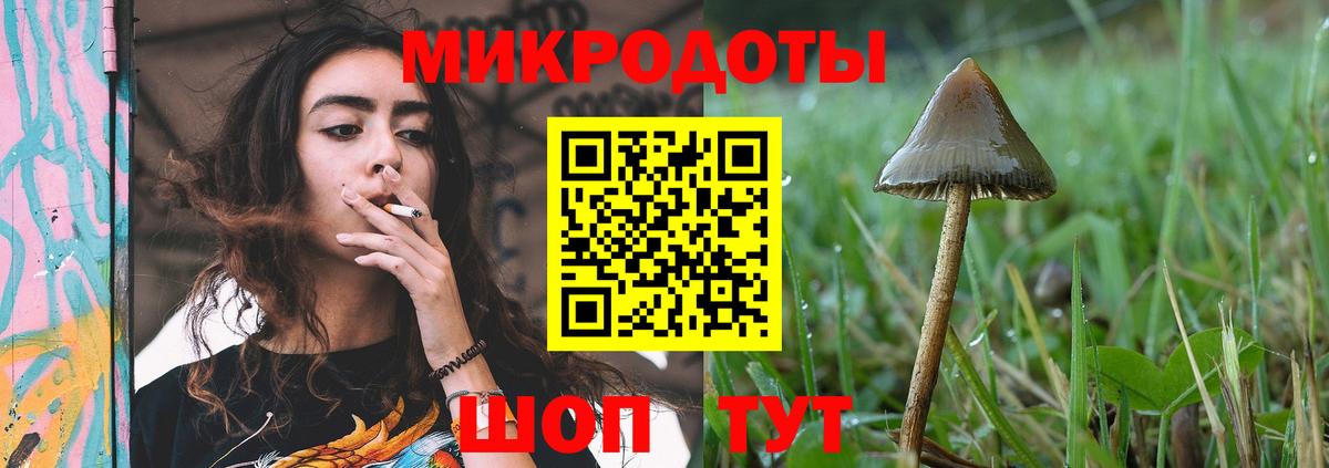 Галлюциногенные грибы мухоморы Дзержинский