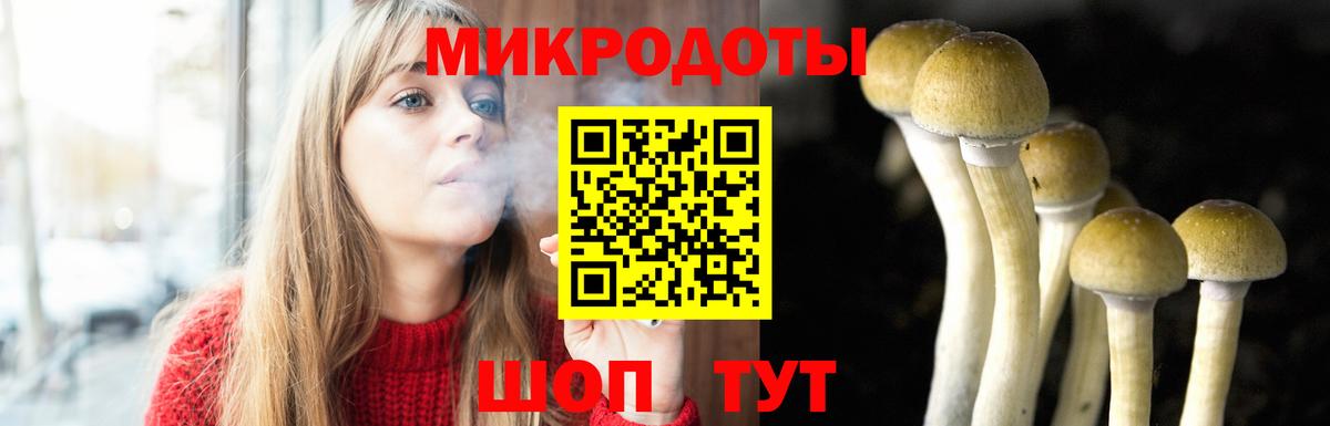 Галлюциногенные грибы прущие грибы  купить наркоту  Галлюциногенные грибы Cubensis  Дзержинский  Вход с VPN 